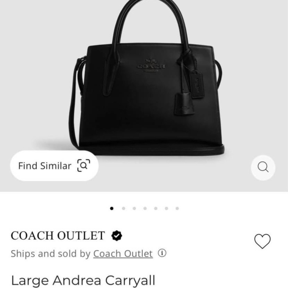 Coach Large Andrea carryall- Final price drop